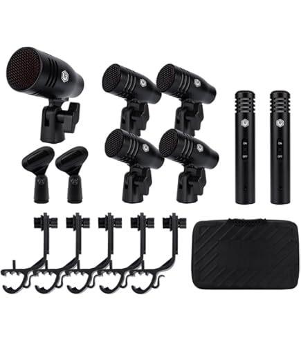 Amazon | SOLOMON MiCS LoFReQ Sub Microphone, Black by SOLOMON MiCS